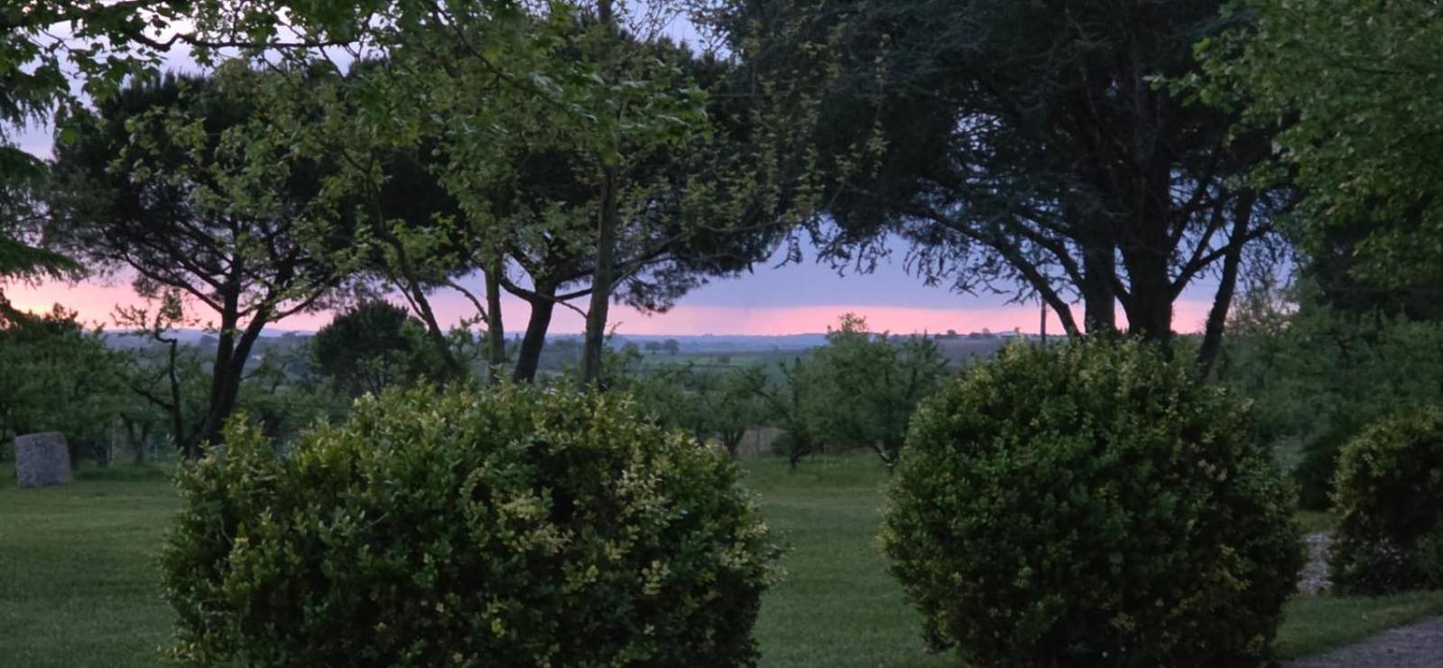 Alojamento de Acomodação e Pequeno-almoço De Beausoleil La Romieu